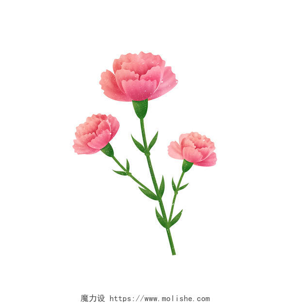 粉色康乃馨母亲节康乃馨元素花朵插画PNG素材